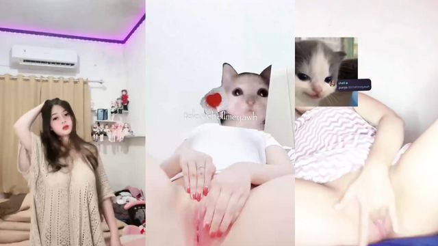 Bokep Indo Chellmey Colmek Meki Pink Mulus Banget